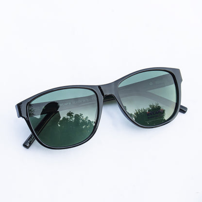 polarized sunglasses